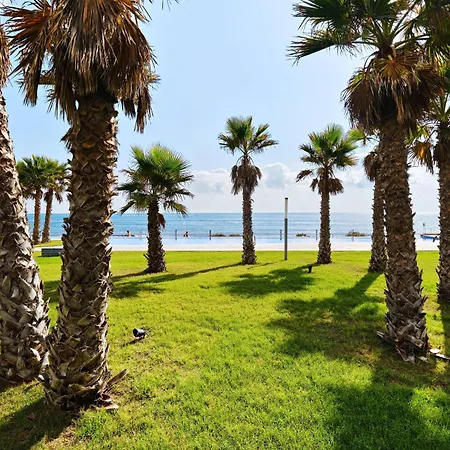 Posedonia - Punta Prima * Torrevieja